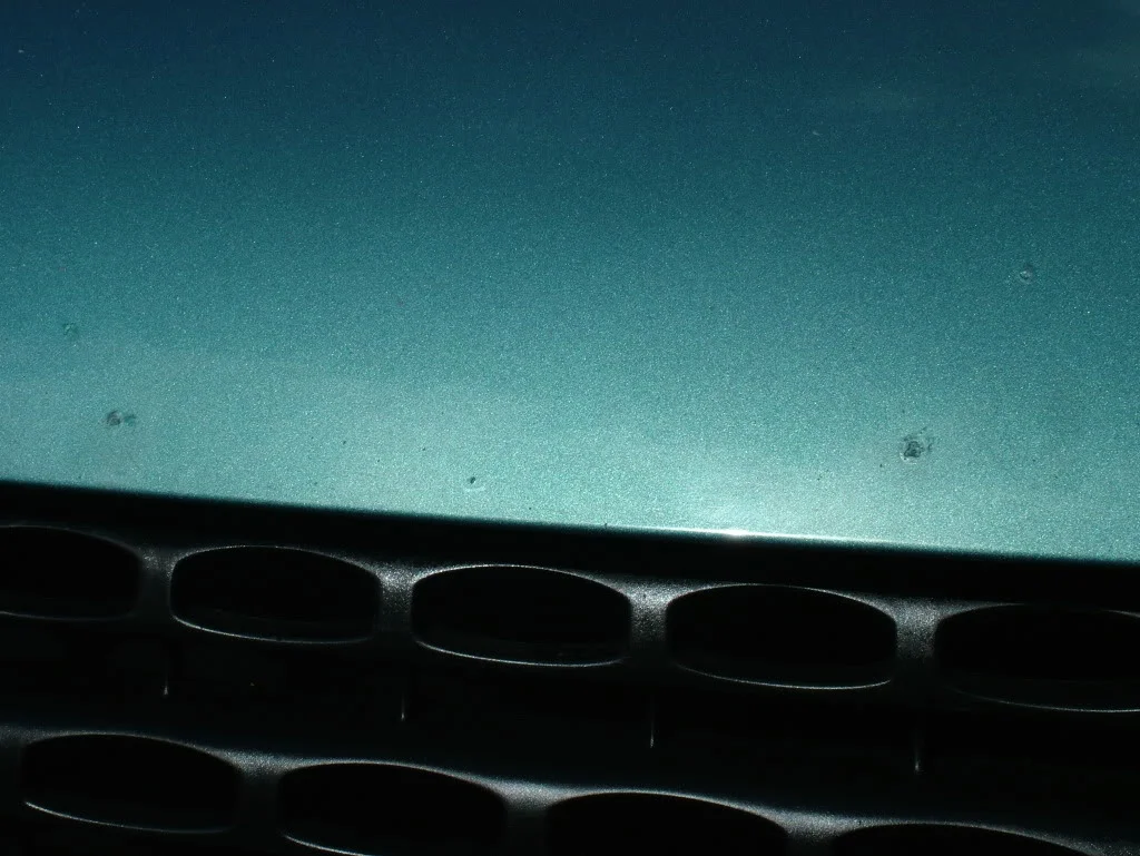 DSCF9438.webp
