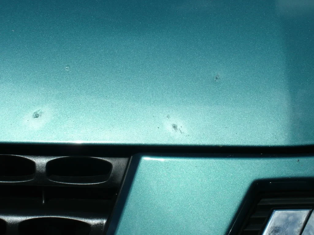 DSCF9439.webp
