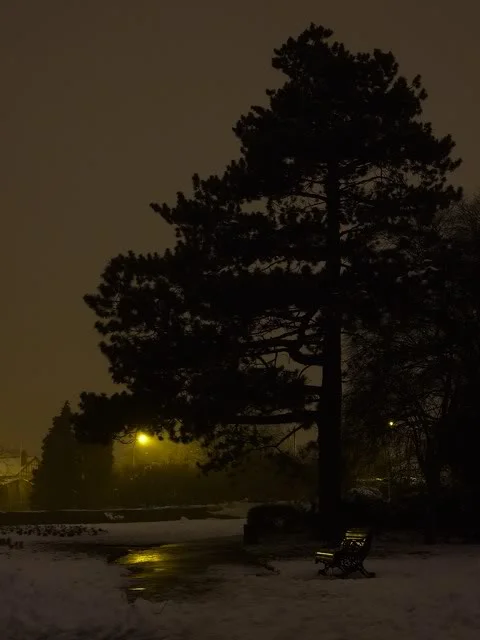 DSCF9507.webp