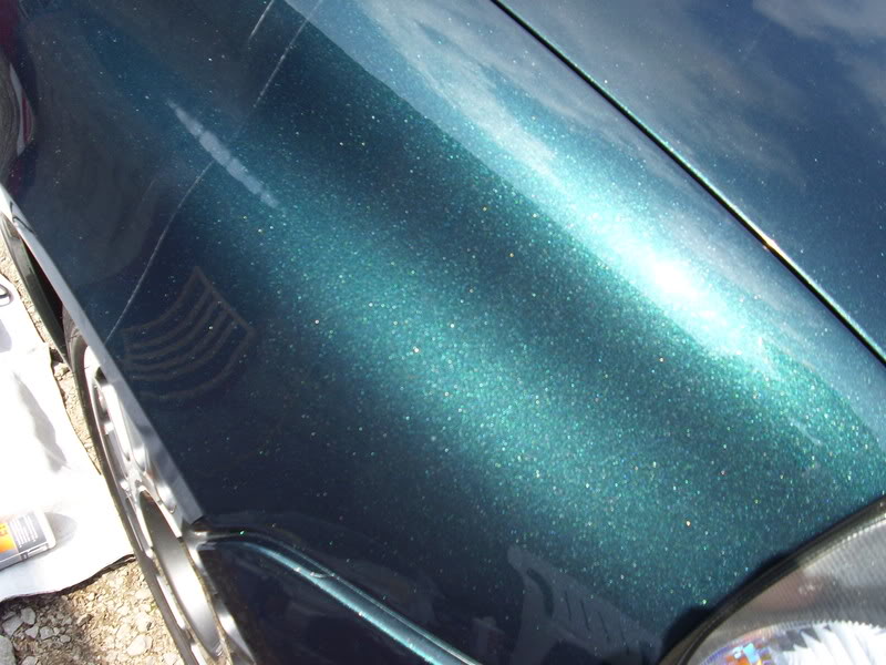 DSCI0018.jpg DSCI0018.jpg