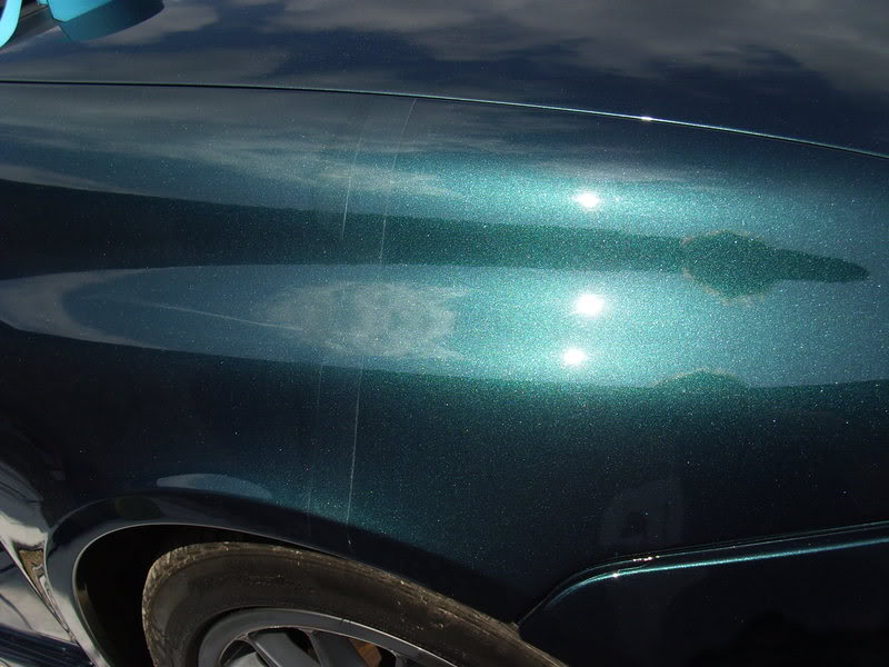 DSCI0019.jpg DSCI0019.jpg