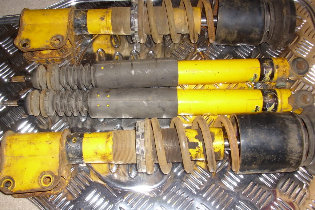 DSCI0235-1.jpg