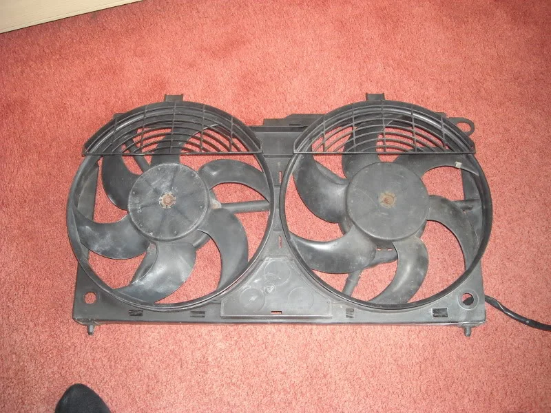 DSCN00122.webp