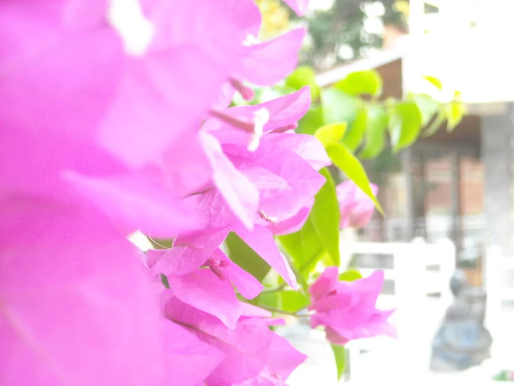 DSCN0123.webp