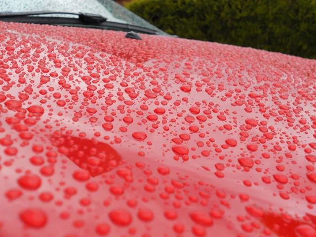 DSCN0203.webp