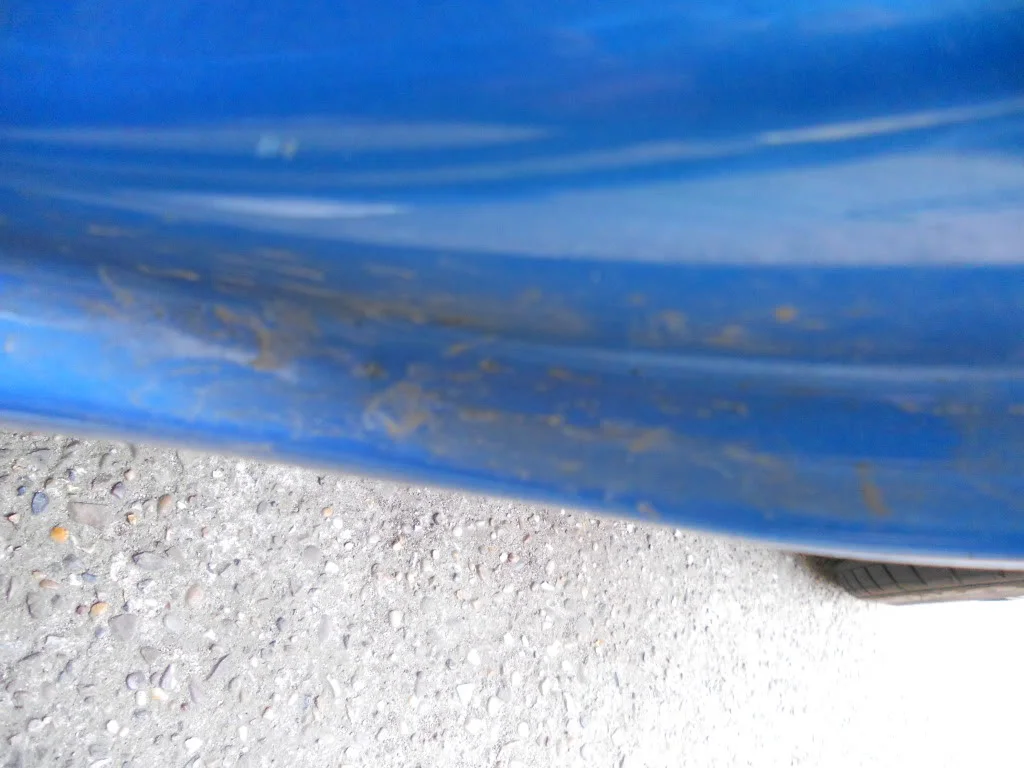 DSCN0241.webp