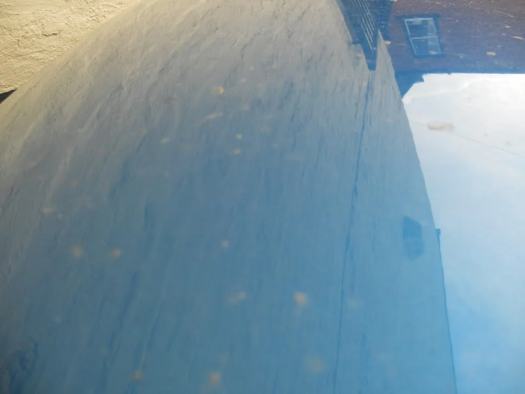 DSCN0242.webp