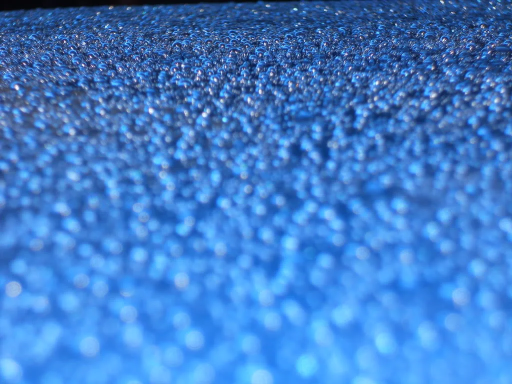 DSCN0254.webp