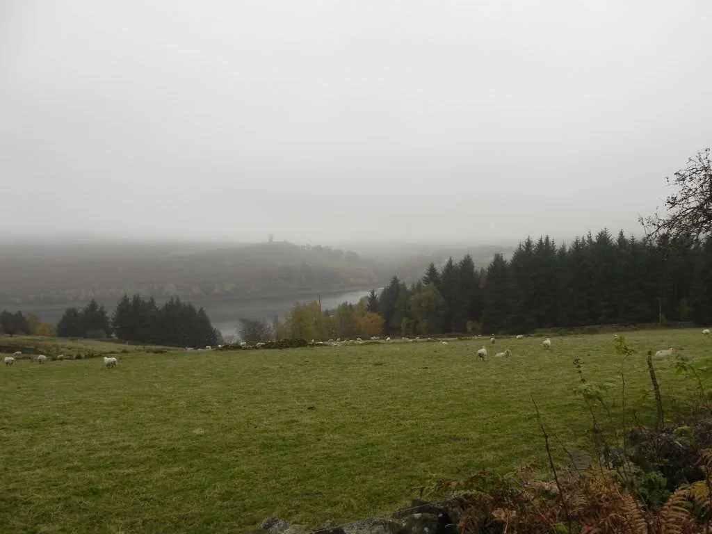 DSCN0288.webp