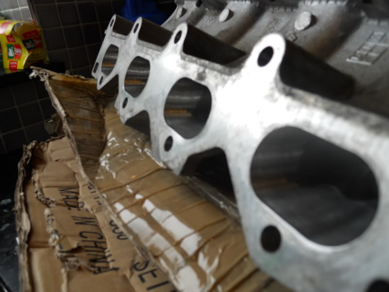 DSCN0381.jpg DSCN0381.jpg