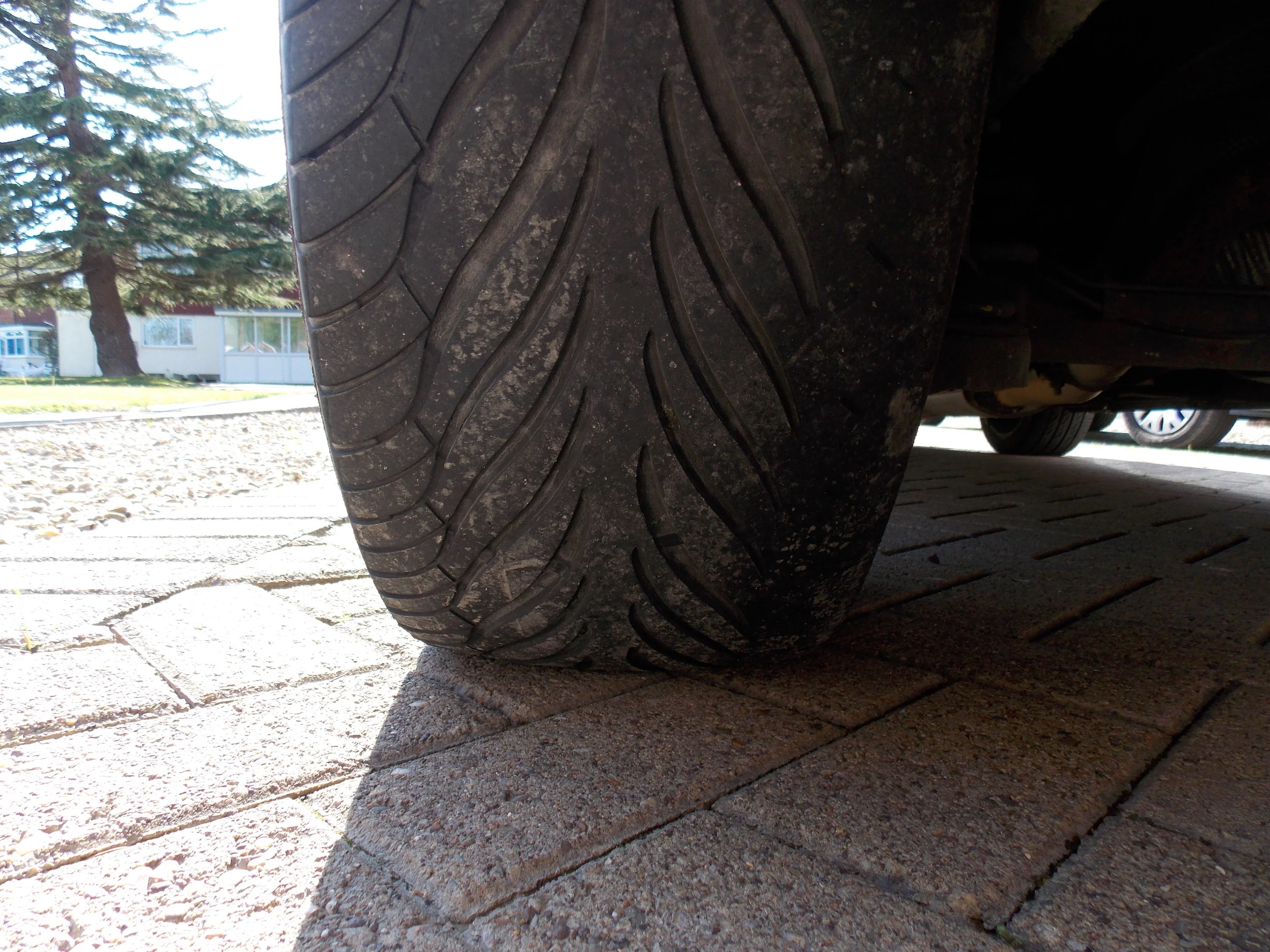 DSCN0384.webp