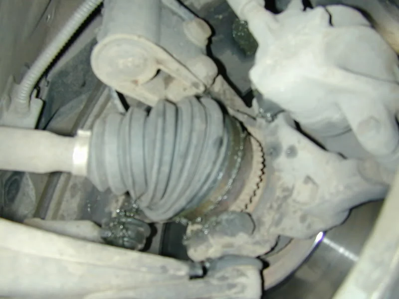 DSCN0393.webp