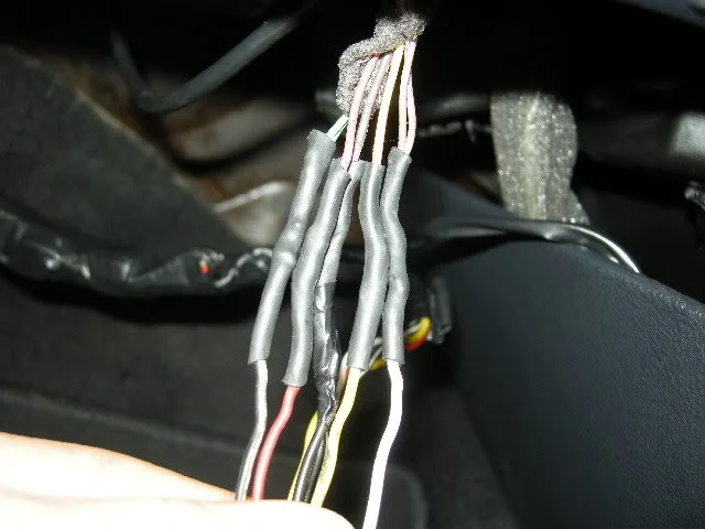 DSCN0442.webp