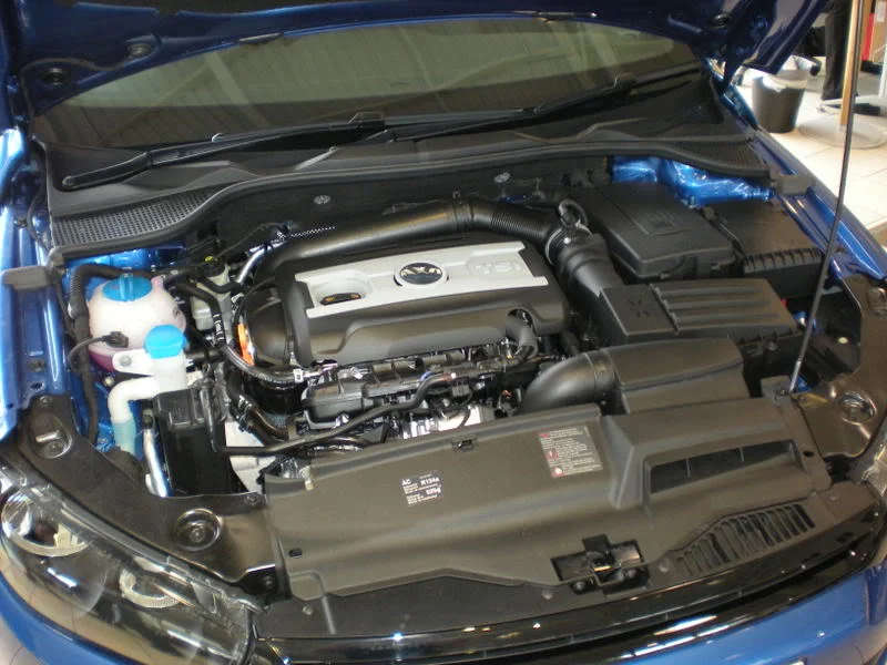DSCN0472.webp