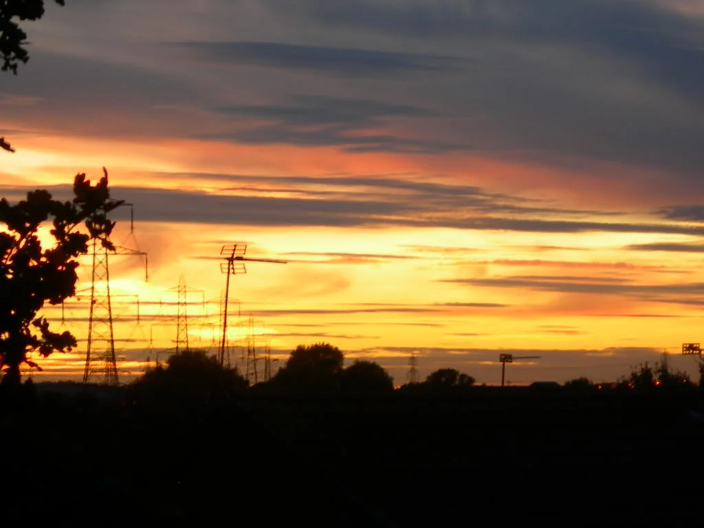 DSCN0569.webp