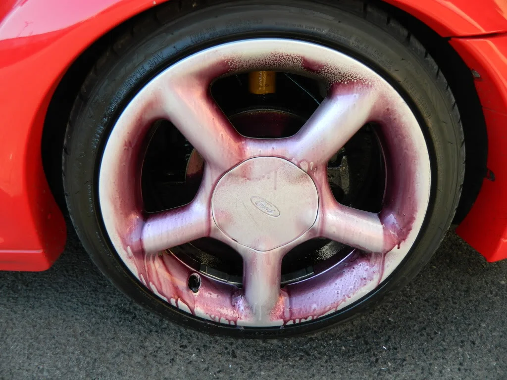 DSCN0598.webp