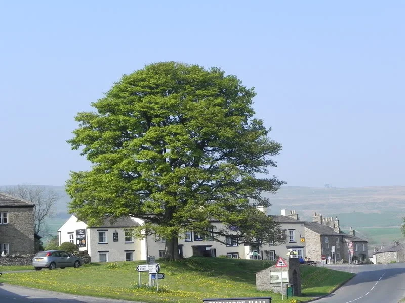 DSCN0663.webp