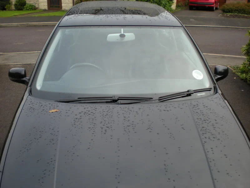 DSCN0695.webp