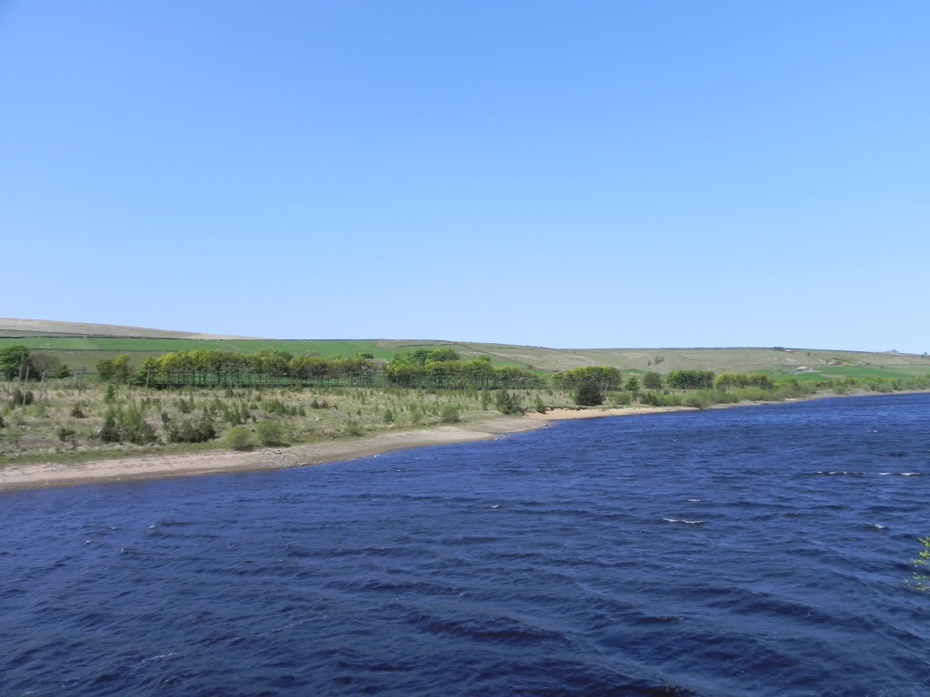 DSCN0796.jpg