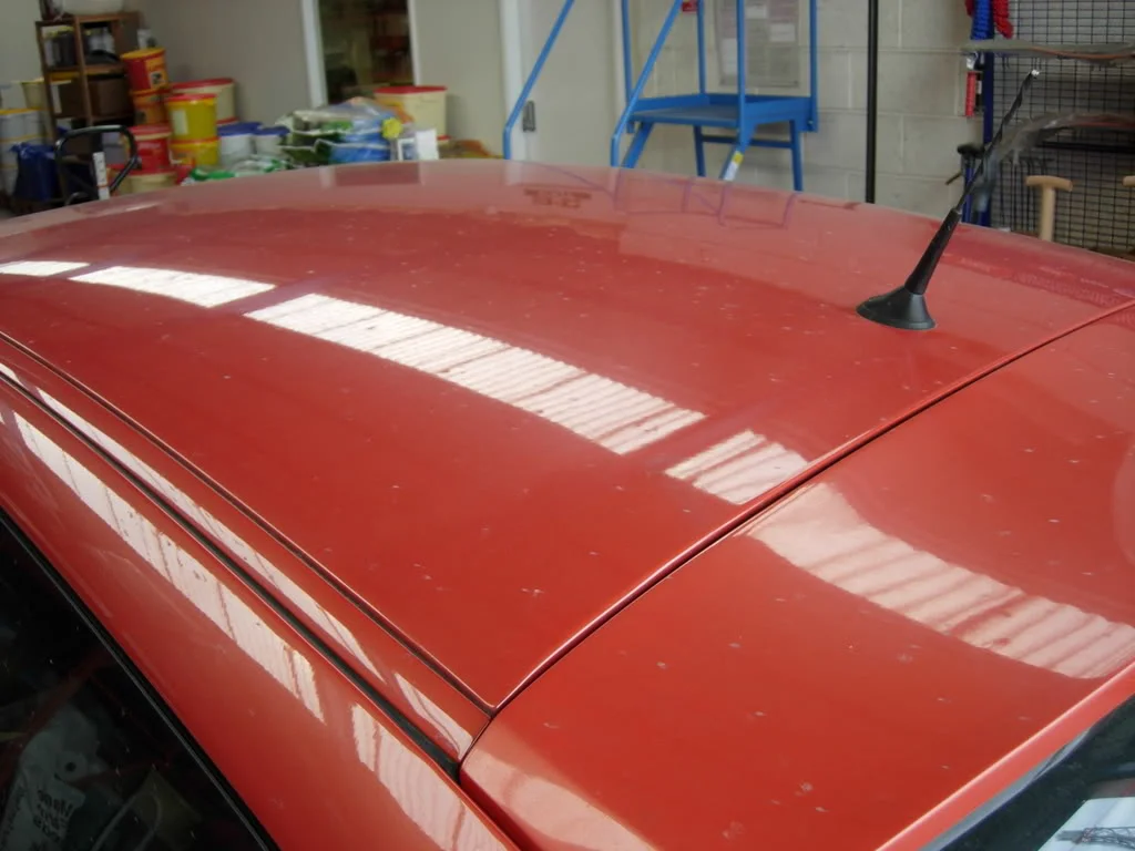 DSCN1235.webp