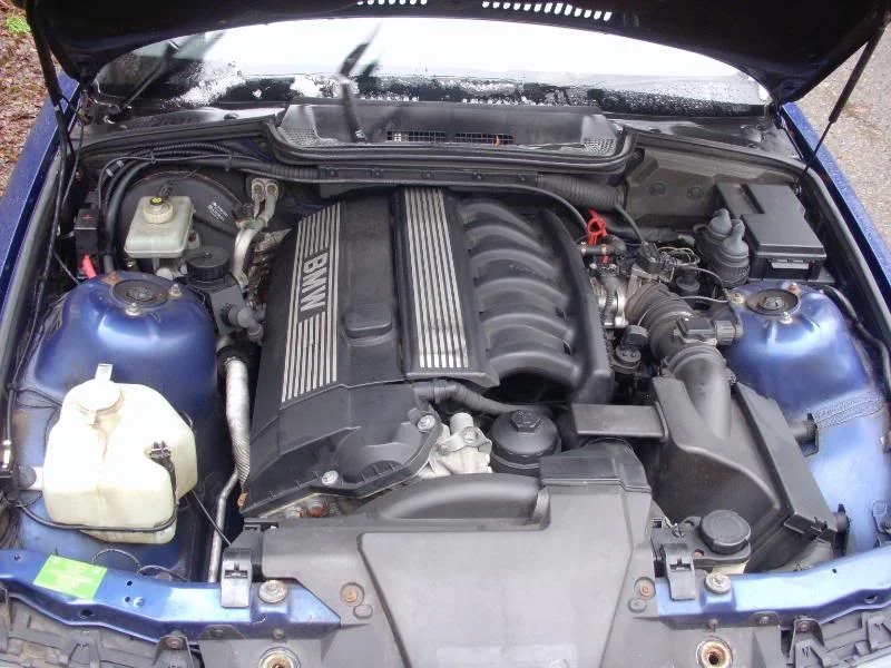 DSCN1263.webp
