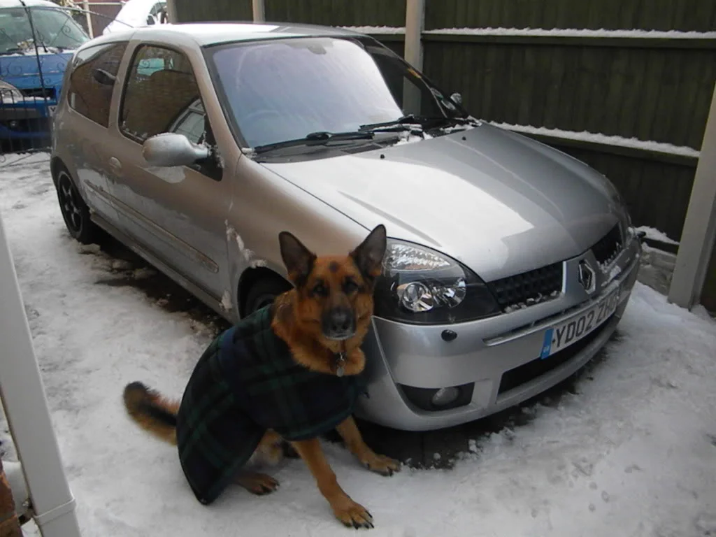 DSCN1478.webp