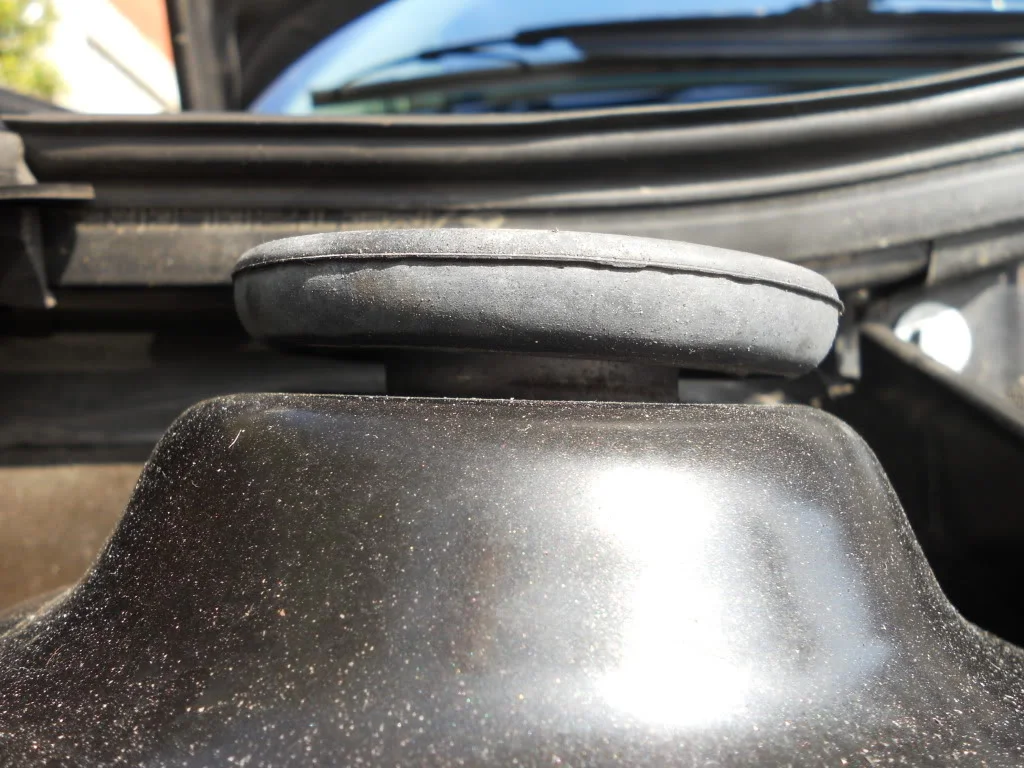 DSCN1554.webp