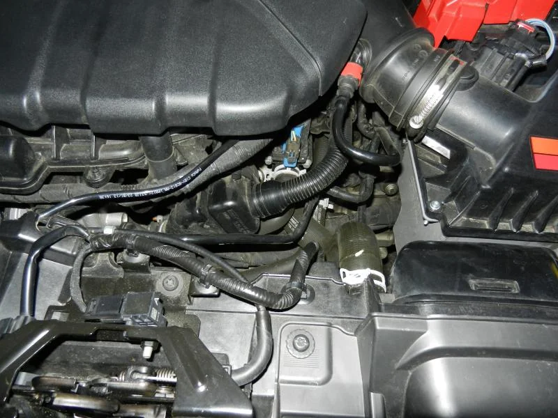 DSCN1599_zps317b9eaa.webp