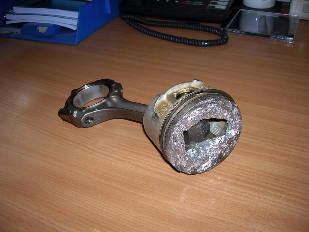 DSCN1619.webp