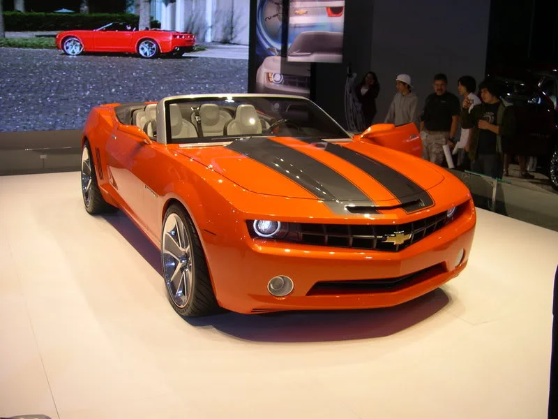 DSCN1959.webp