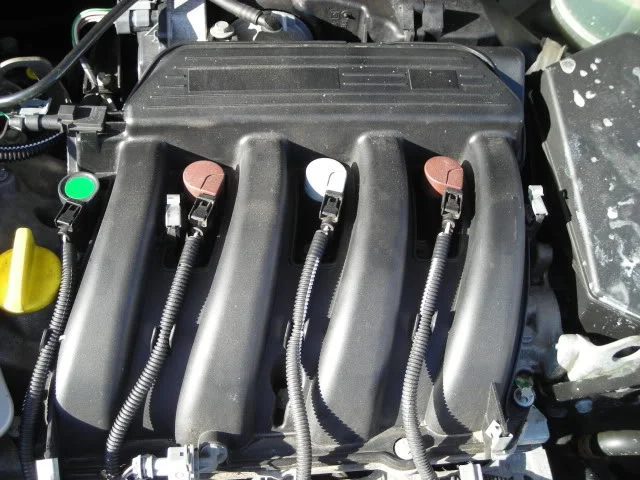 DSCN2366.webp