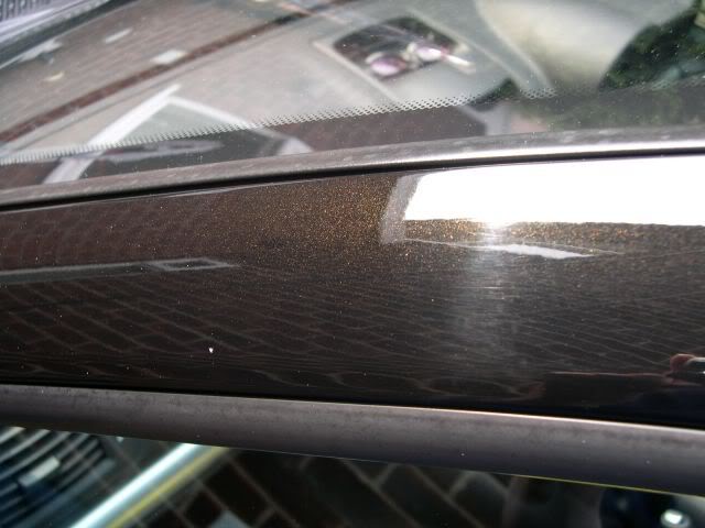DSCN2559.jpg