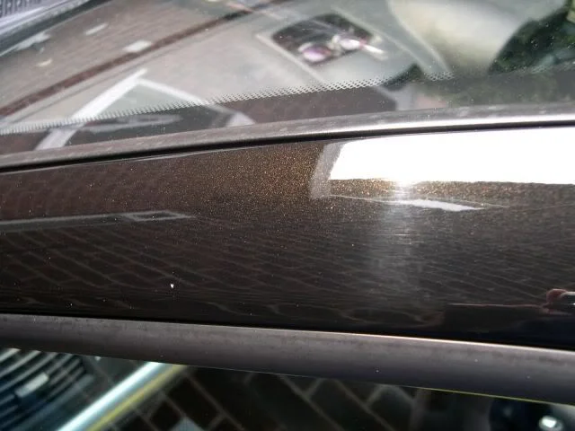 DSCN2559.webp