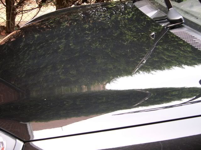DSCN2560.jpg