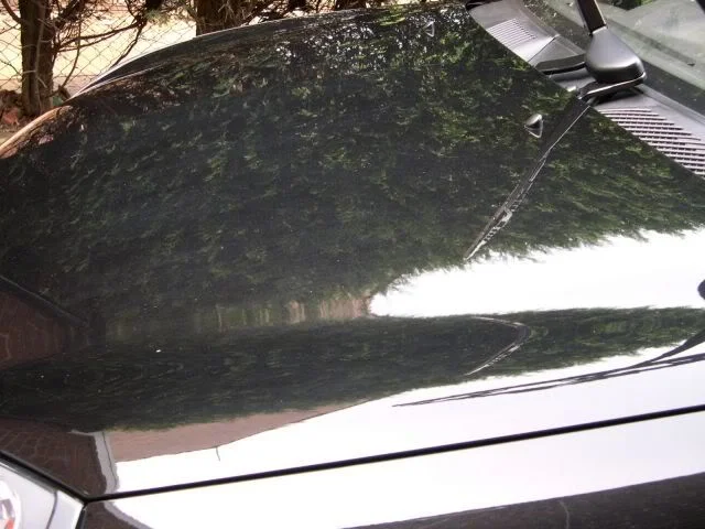 DSCN2560.webp