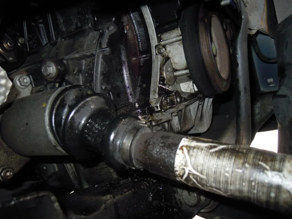 DSCN2689.webp