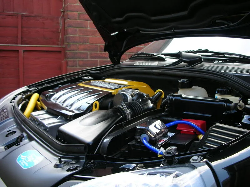 DSCN2744.webp