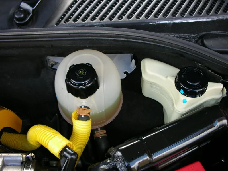 DSCN2745.webp