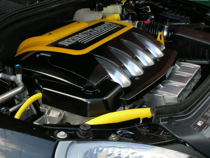 DSCN2750.webp