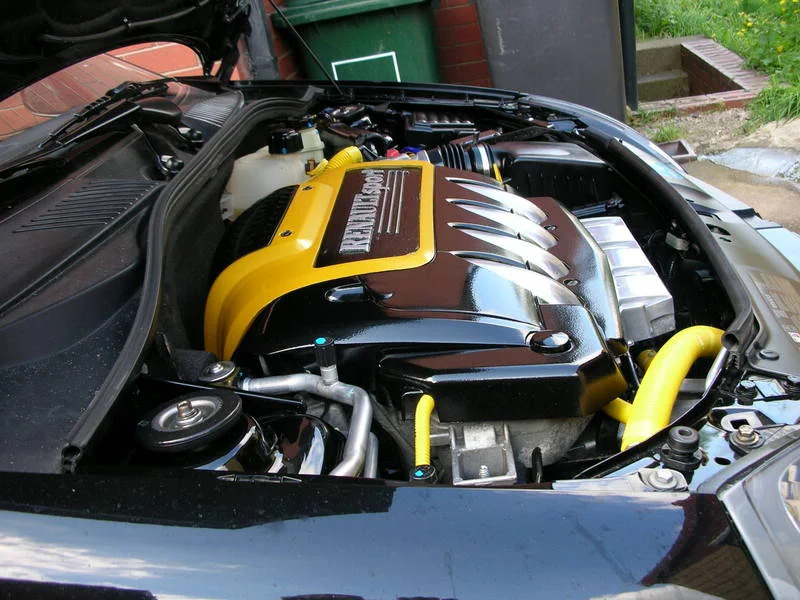 DSCN2751.webp