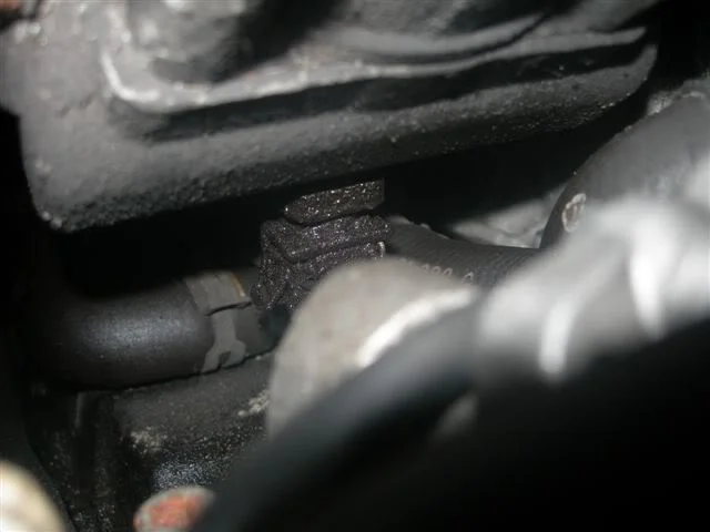 DSCN2759.webp