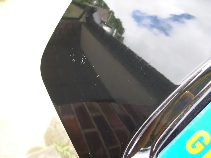 DSCN2760.webp