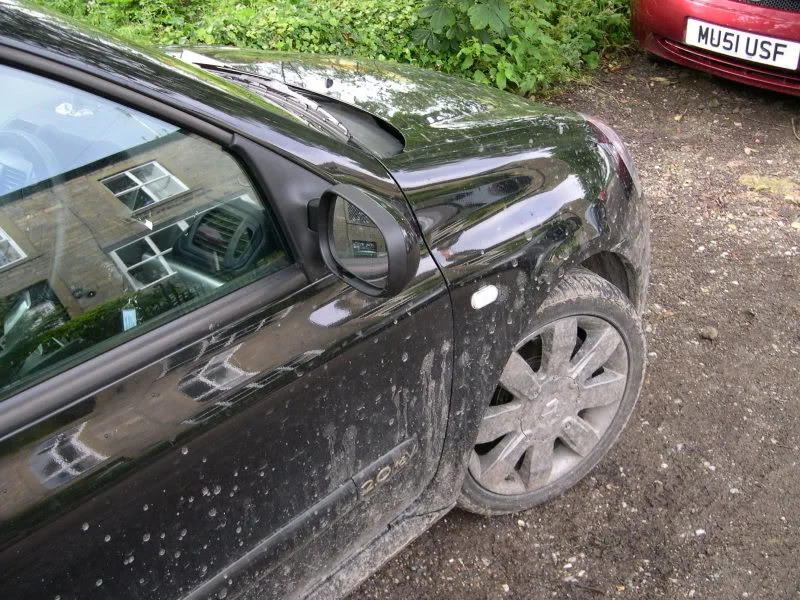DSCN2766.webp