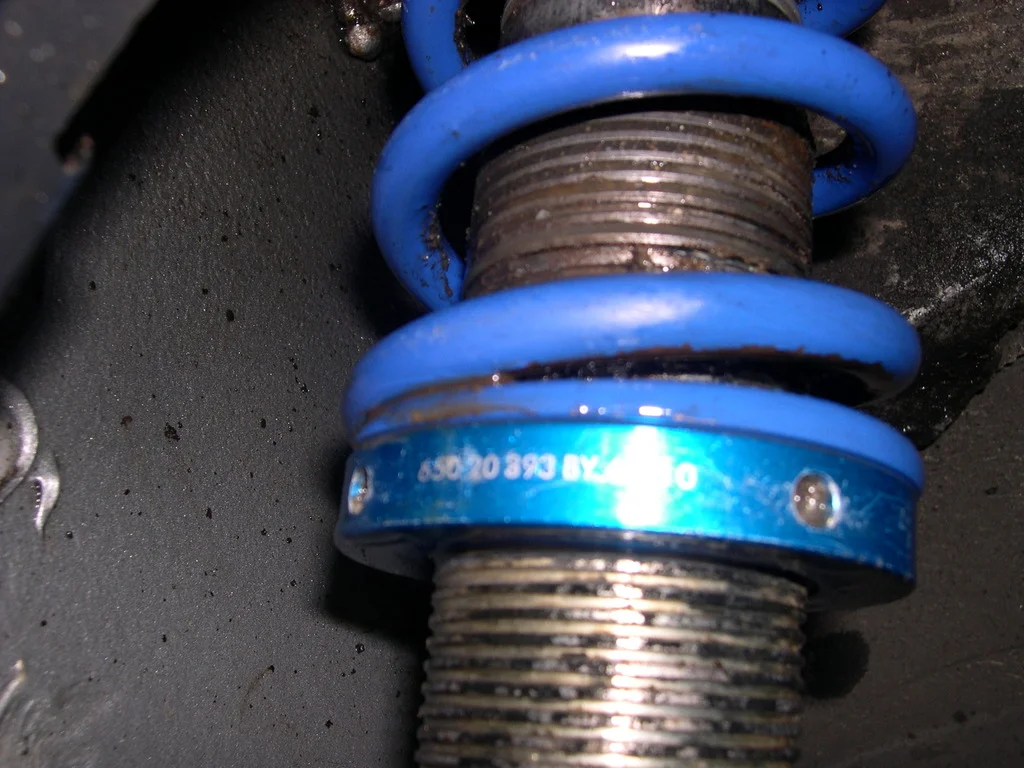 DSCN2805_zpspwbrhvgi.webp