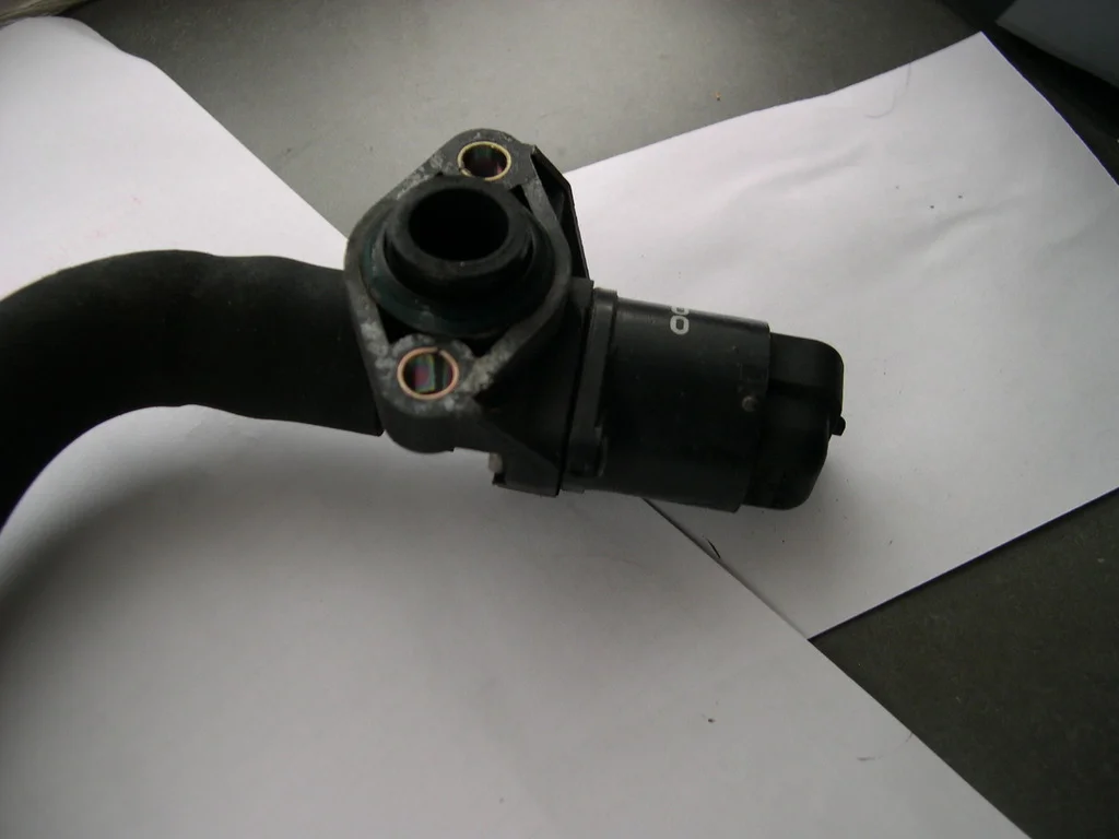 DSCN2862_zpsp4hn3mff.webp