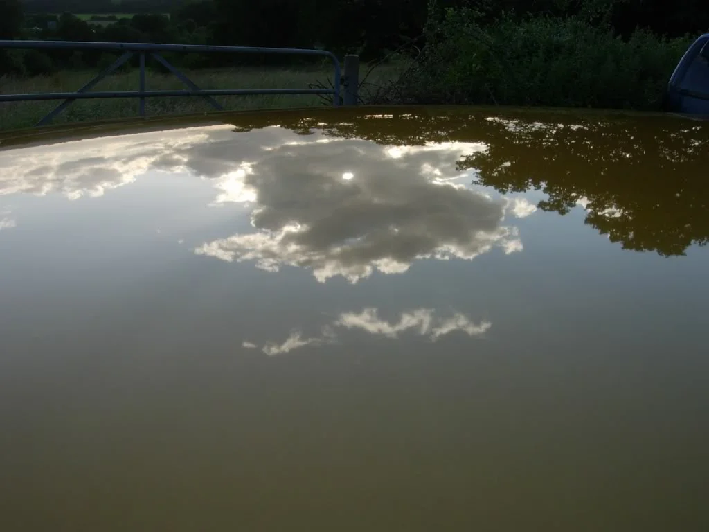 DSCN2889.webp