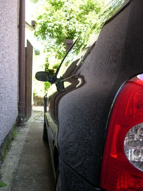 DSCN2899.webp