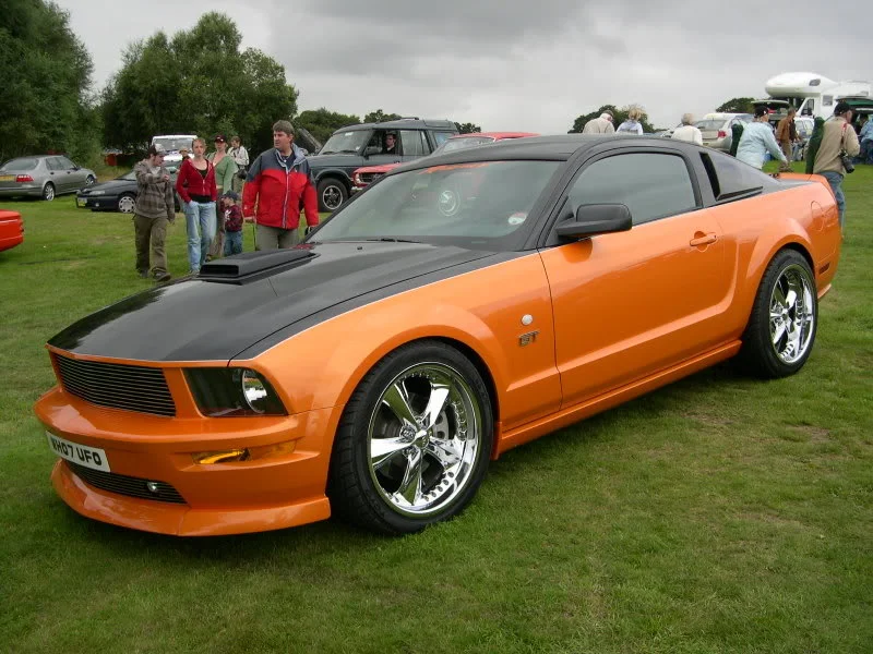 DSCN3117.webp