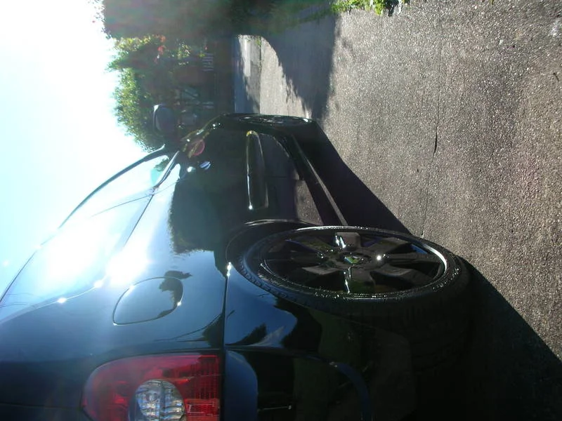 DSCN3331.webp