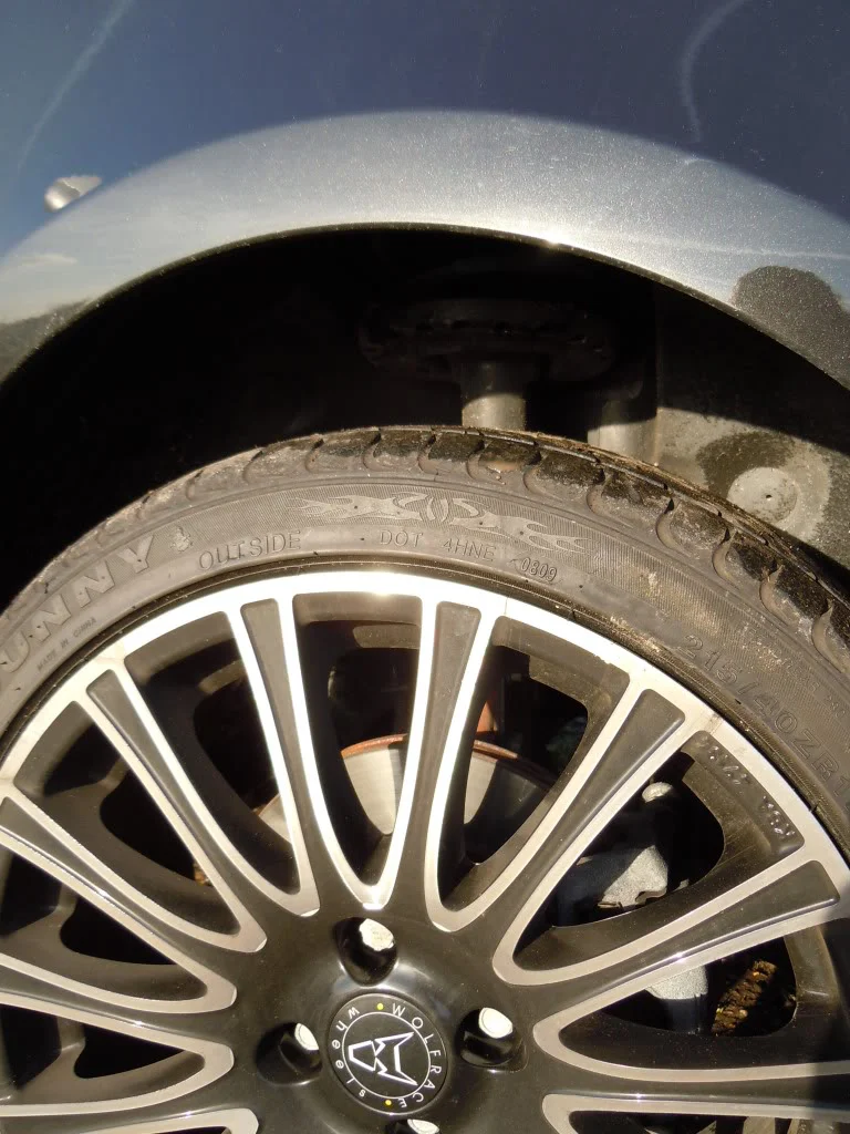 DSCN3346.webp
